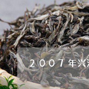 2007年兴海魅力普洱茶价格表/2023082600640