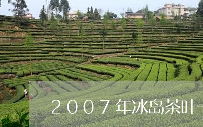 2007年冰岛茶叶一斤多少钱/2023053191714