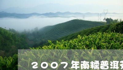 2007年南糯普洱茶/2023062481614