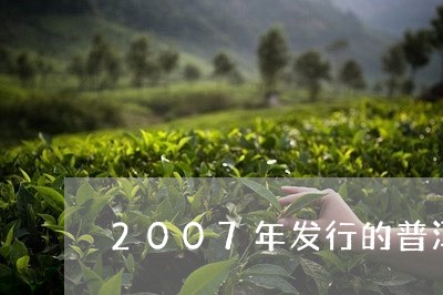 2007年发行的普洱茶多少钱/2023053054380