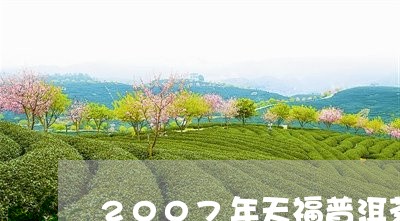 2007年天福普洱茶/2023062425161