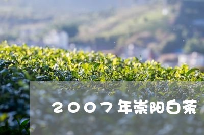 2007年崇阳白茶/2023071392683