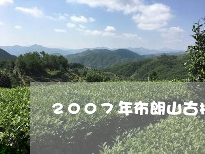 2007年布朗山古树茶饼/2023051246138