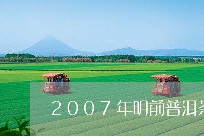 2007年明前普洱茶/2023100668471