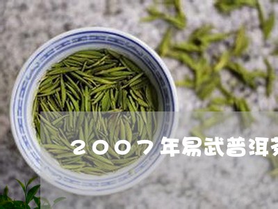 2007年易武普洱茶/2023062410592