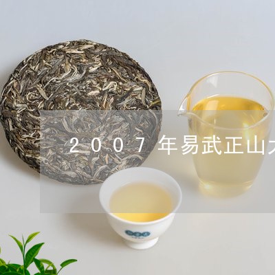 2007年易武正山大叶茶/2023051229483