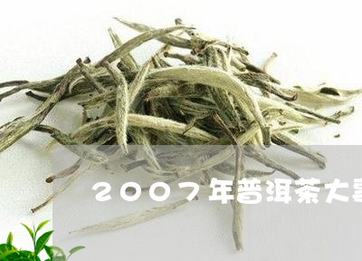 2007年普洱茶大事/2023062852795