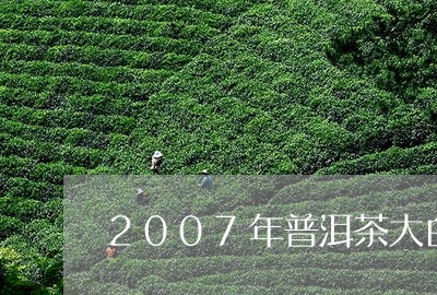 2007年普洱茶大白牙饼的价格/2023060216283