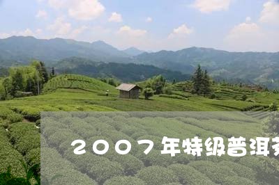 2007年特级普洱茶/2023062861609