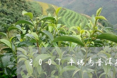 2007年瑞马普洱茶/2023100594162