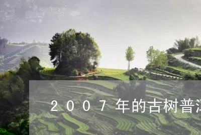 2007年的古树普洱茶饼值多少元/2023060332169