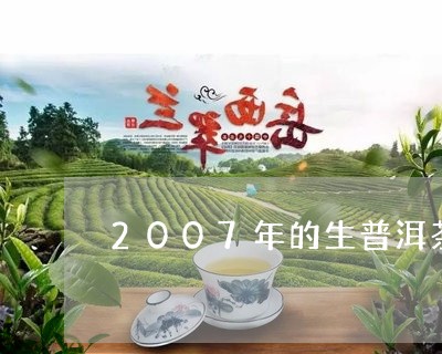 2007年的生普洱茶值多少钱/2023112656361