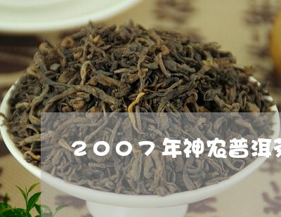 2007年神农普洱茶/2023062803949