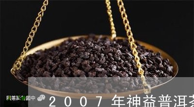 2007年神益普洱茶/2023062779582