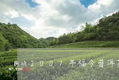 2007年福今普洱茶/2023073154157