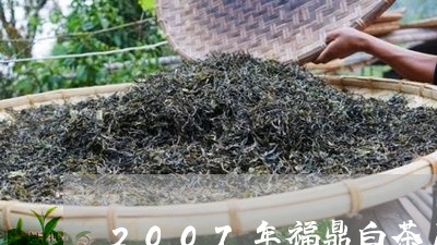 2007年福鼎白茶厂家/2023092237260