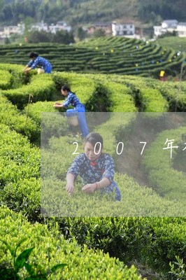 2007年福鼎白茶荒野/2023092295260