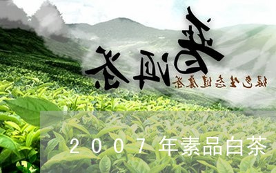 2007年素品白茶/2023071374146