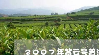 2007年紫云号普洱生茶价格/2023053162826