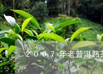 2007年老普洱熟茶多少钱一饼/2023060280280