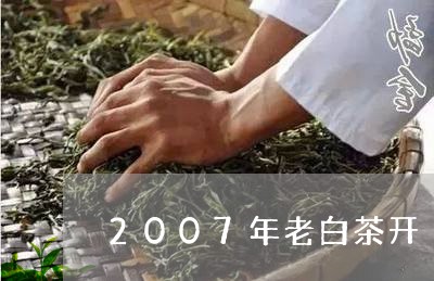 2007年老白茶开/2023092729683