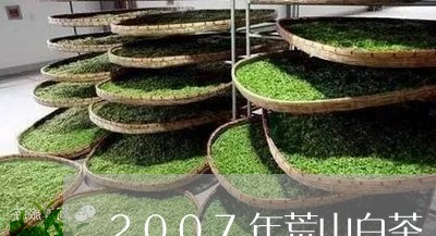 2007年荒山白茶/2023071353728