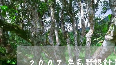 2007年荒野银针贵吗/2023092550370