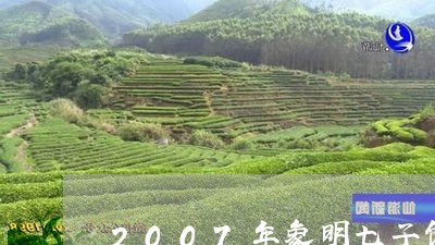 2007年象明七子饼普洱茶/2023052710492