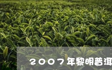 2007年黎明普洱茶/2023080381716