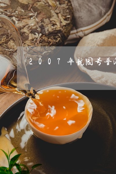 2007年龙园号普洱茶380g/2023060279481