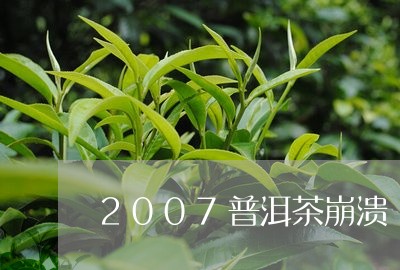 2007普洱茶崩溃/2023112615047