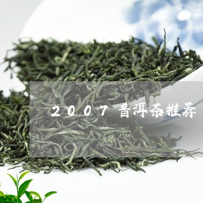 2007普洱茶推荐/2023091416051