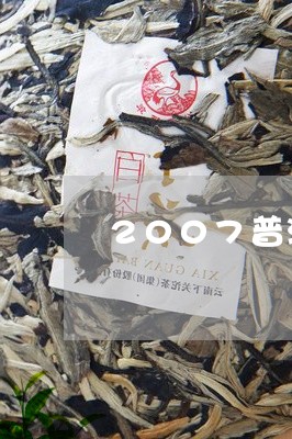 2007普洱茶生茶饼/2023062855027