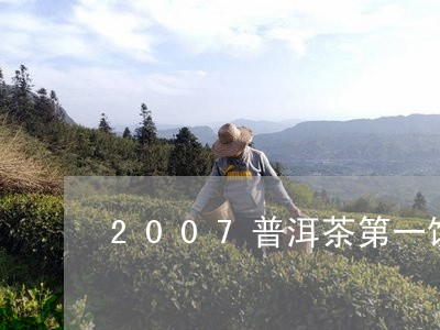 2007普洱茶第一饼/2023062737603