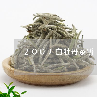 2007白牡丹茶饼/2023120537050