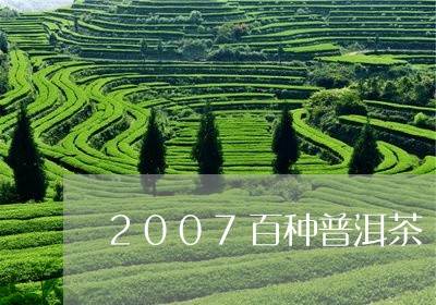 2007百种普洱茶/2023062855039