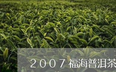 2007福海普洱茶/2023120517268