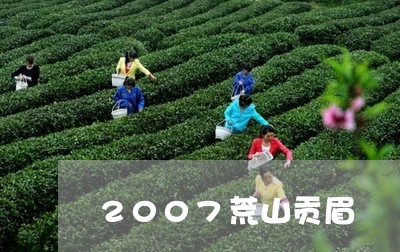 2007荒山贡眉/2023090793047