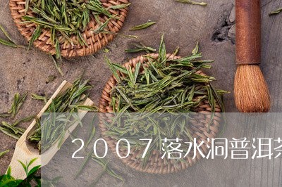 2007落水洞普洱茶/2023100570593