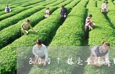 2007银毫普洱茶熟茶特级/2023110270605