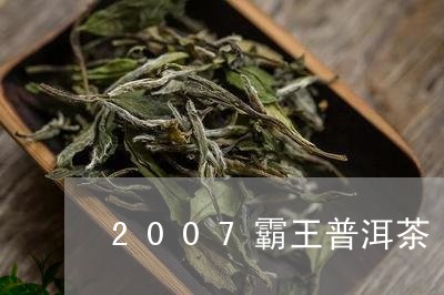 2007霸王普洱茶/2023120598159