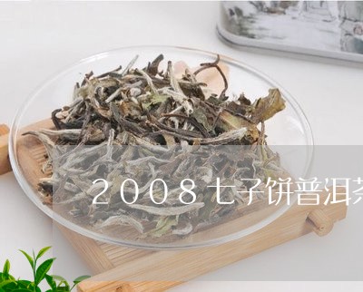 2008七子饼普洱茶/2023062901625