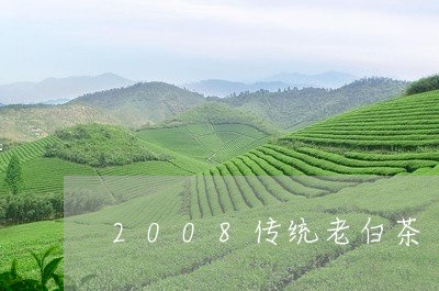 2008传统老白茶/2023121391816