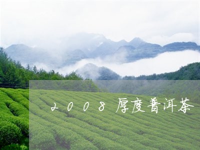 2008厚度普洱茶/2023070927250