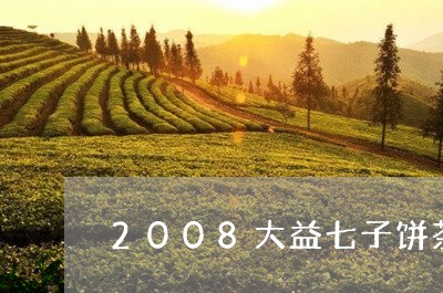 2008大益七子饼茶7542/2023053105059