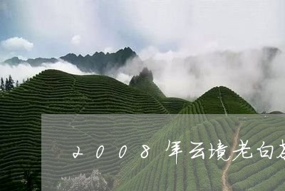 2008年云境老白茶/2023082692716