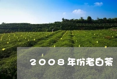 2008年份老白茶/2023071387503