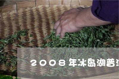 2008年冰岛湖普洱茶/2023050401582