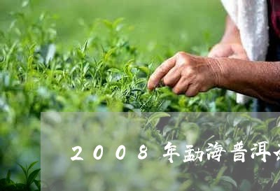 2008年勐海普洱茶价格表大全/2023060236392