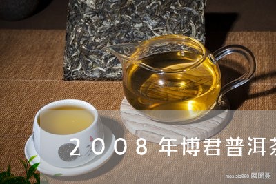 2008年博君普洱茶/2023062738271